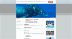 Desktop Screenshot of belugadivingvavau.com